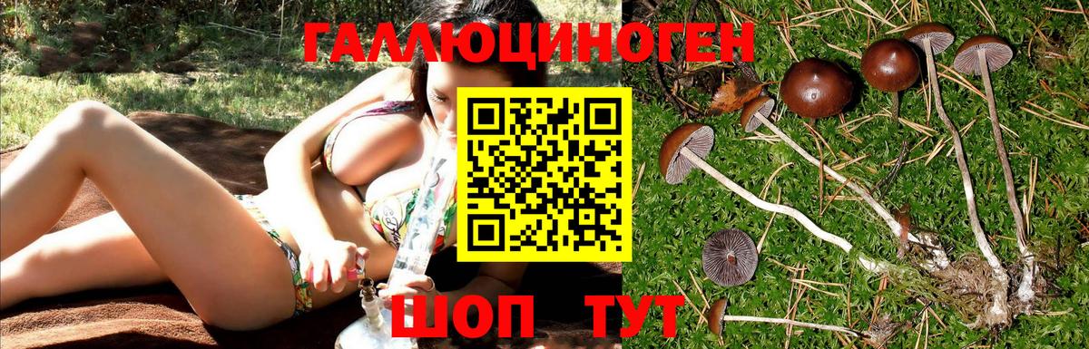 Псилоцибиновые грибы мухоморы Бирск