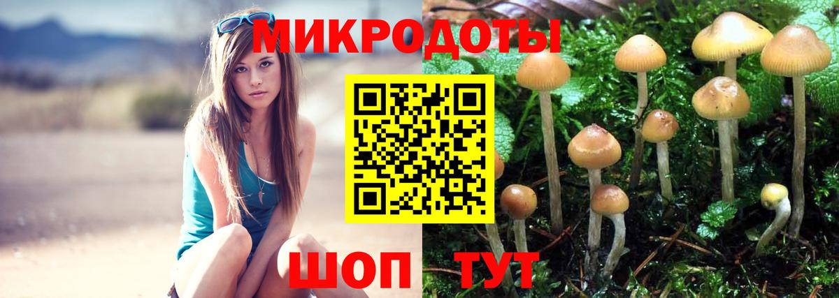 Псилоцибиновые грибы Magic Shrooms  Вход с VPN  Бирск 